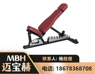 惠州可调哑铃椅